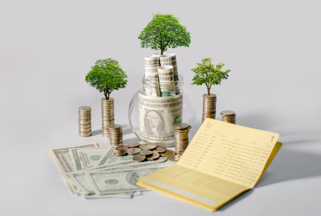 Stack of Coins and Tree Growing Money Savings Concept